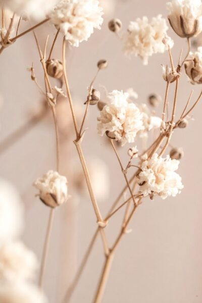 overcoming your limiting beliefs