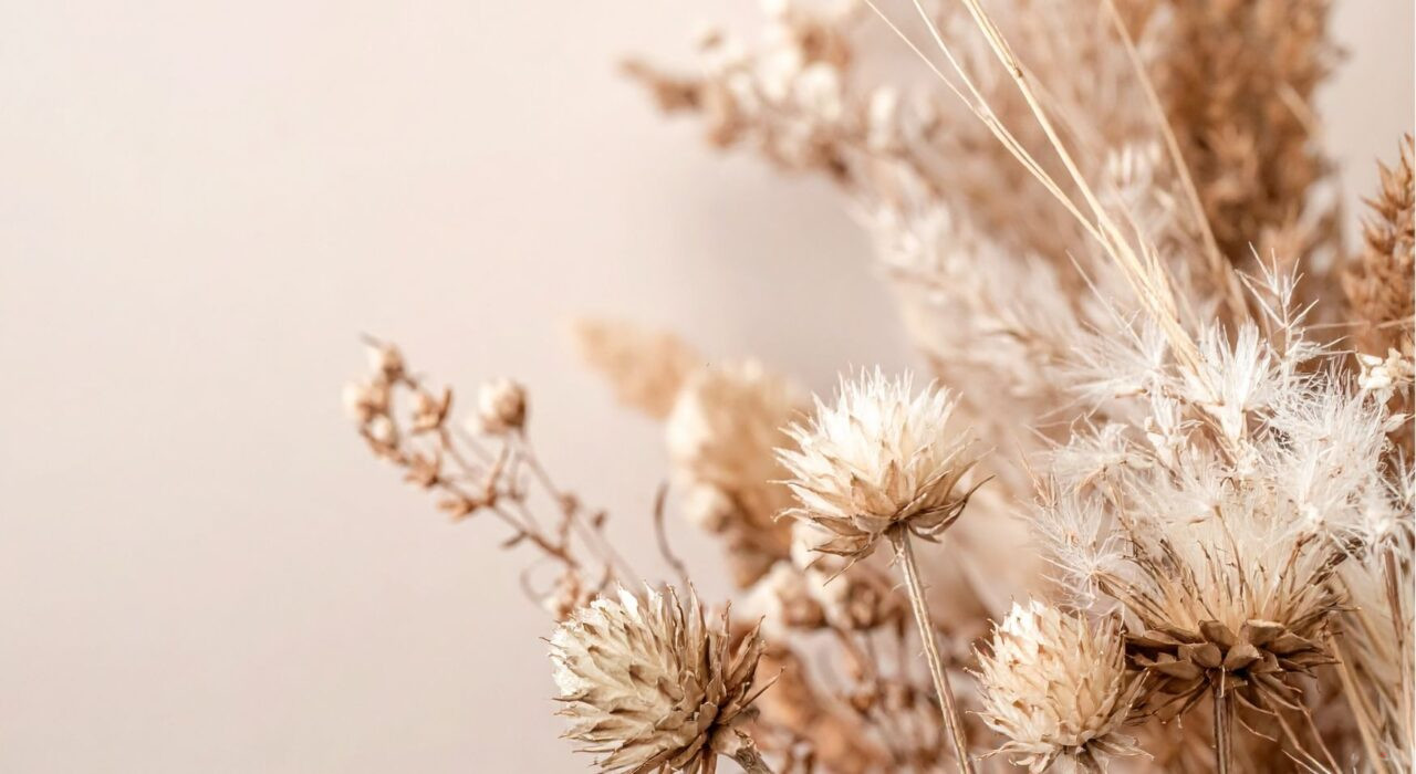 how to be alone and enjoy it