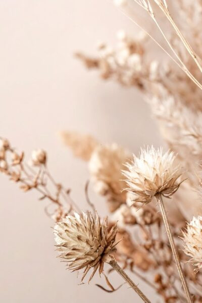 how to be alone and enjoy it