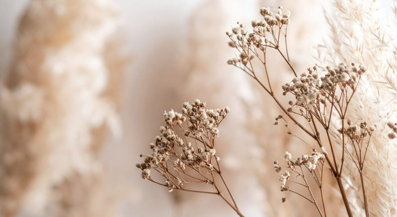 set goals when you don’t know what you want