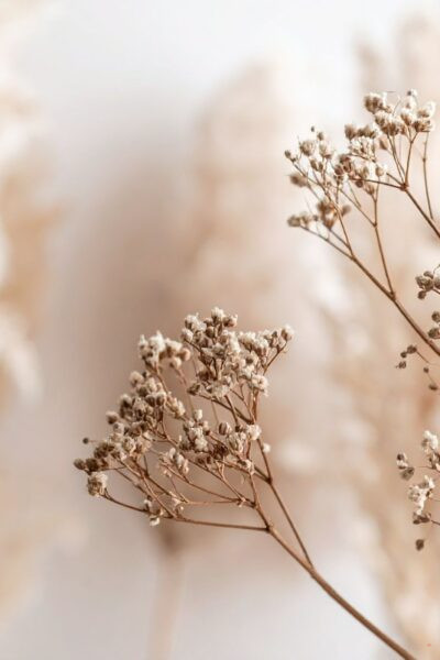 set goals when you don’t know what you want