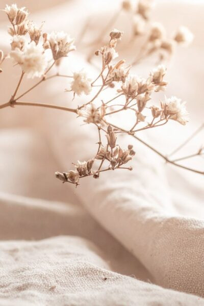 choose your thoughts