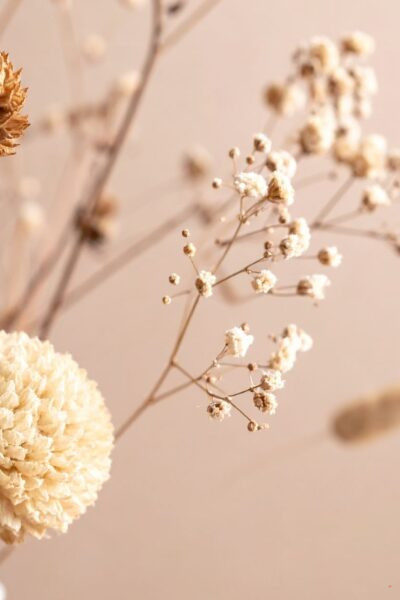 signs of self-sabotage