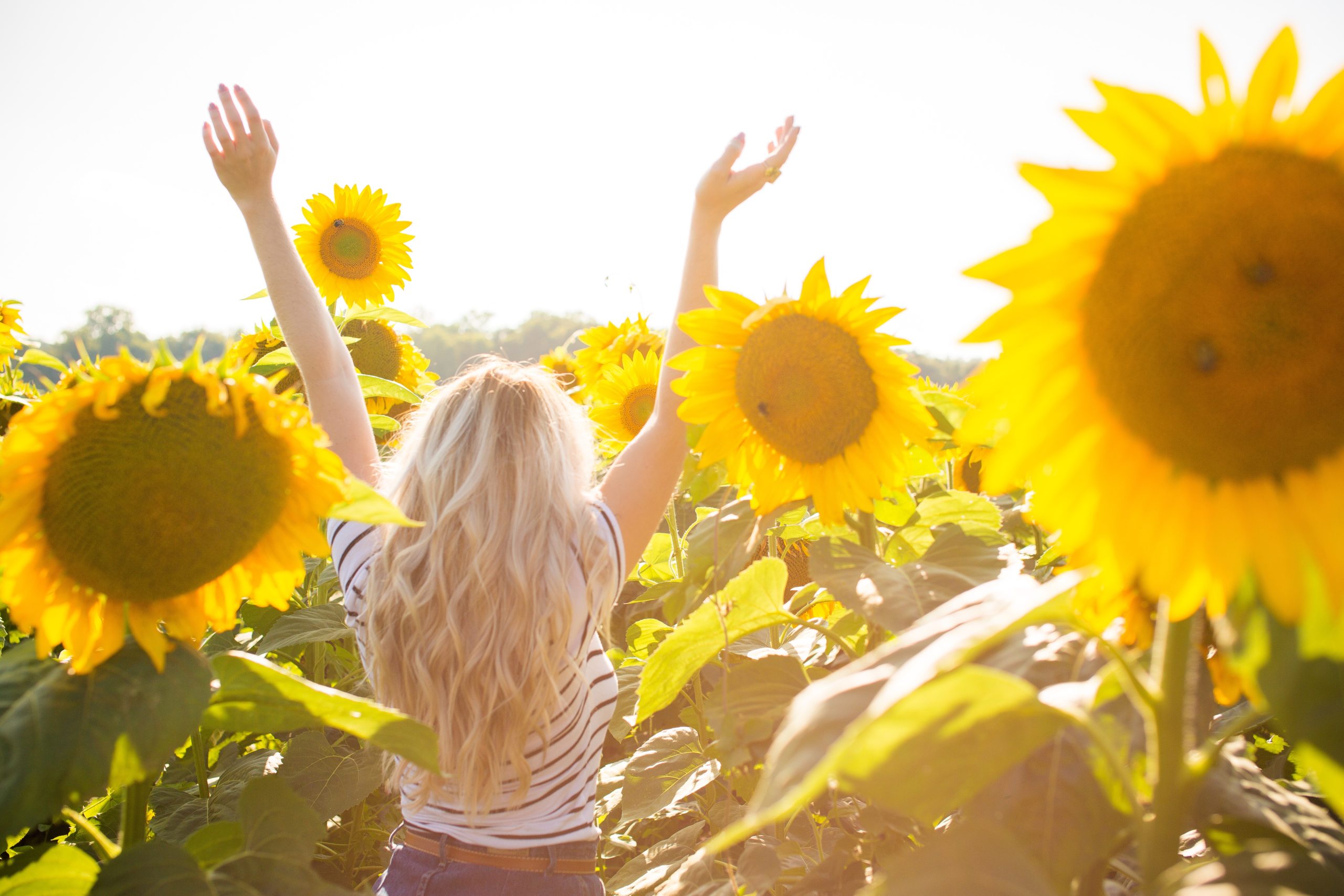 Свободен солнце. Клип Sunflower.