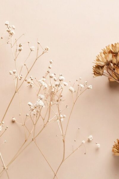 advice for women in their 20s