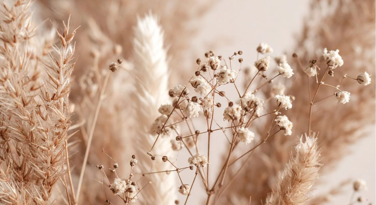 you have outgrown who you used to be