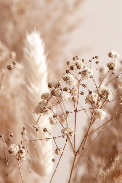 you have outgrown who you used to be